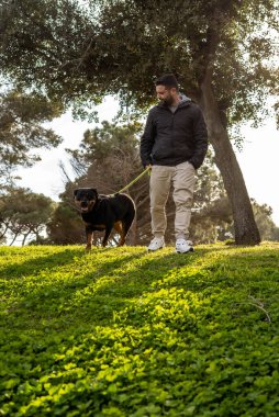 Rottweiler köpeğini gezdiren bir adam
