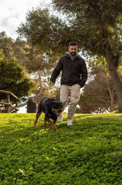 Rottweiler köpeğini gezdiren bir adam