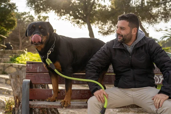 Parktaki bankta oturan adam Rottweiler köpeğinin yanında.