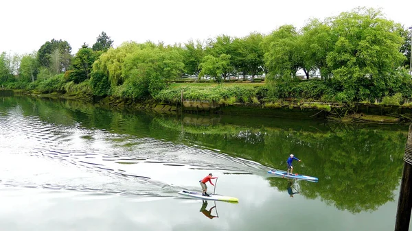 Nehirde yüzme tahtası