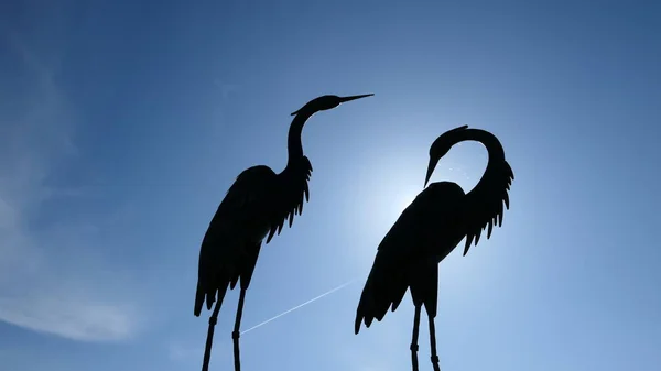 Mavi gökyüzünün arka planında mavi balıkçıl