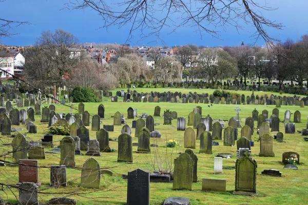 Güneşli bir gün, yeşil çimen, park Liverpool İngiliz eski mezarlık peyzaj