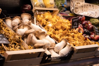 Sebzeler Barselona 'da pazarda duruyor, marketin perakende buzdolabı.