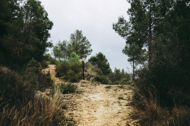 Dağlarda çam ağaçlarıyla yürüyüş rotası, işaret levhası, işaret direği ile patika yolu, İspanya