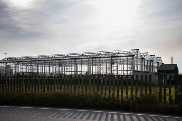 View on industrial glass greenhouses at Gava, Spain