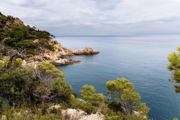 Crique Rocheuse Sur Costa Brava Tossa Mar Espagne Photos De Stock Libres De Droits