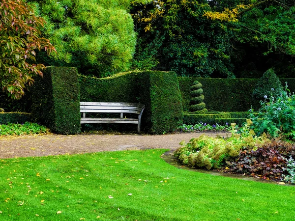 Panca in cespugli verdi ben rifilati nel parco di Regent, Londra. Progettazione del paesaggio — Foto Stock