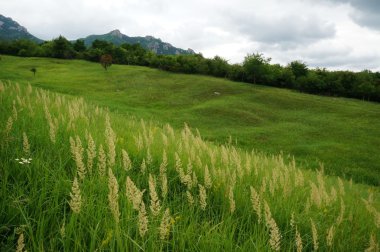 Cloudy and dull day of summer