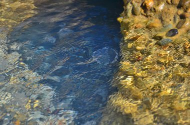 Sea stones and water with jellyfish
