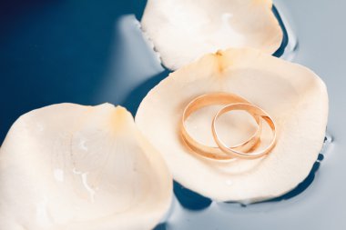 Alyans gül yaprakları üzerinde