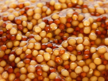 Geleneksel Fransız dijon hardalı