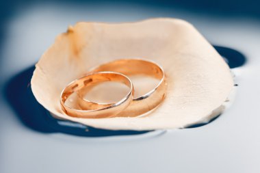 Alyans gül yaprakları üzerinde