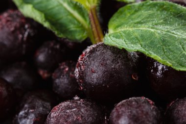 Nane ile dondurulmuş sulu Siyah frenk üzümü bırakır