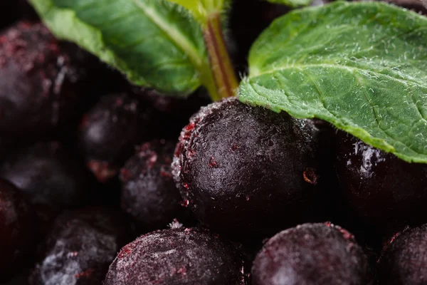 Frozen juicy black currant with mint leaves — Stock Photo, Image