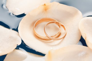 Alyans gül yaprakları üzerinde