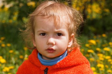 Genç çocuk bir çayır doğada keşfetmek