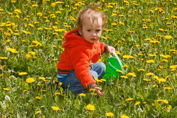 Ung pojke att utforska naturen på en äng — Stockfoto