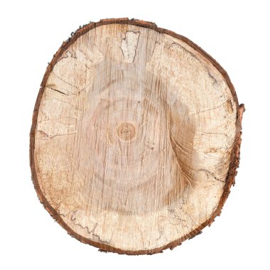Yuvarlak ahşap beyaz arka plan üzerinde izole