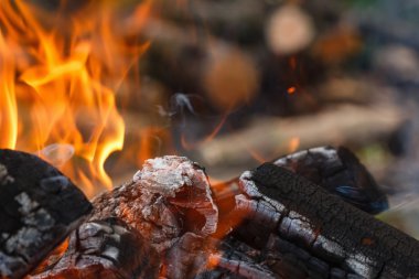 Kamp ateşi closeup kömürleri