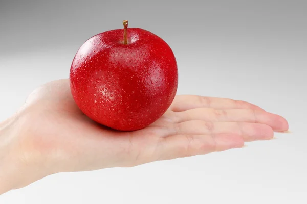 Manzana roja madura en una palma femenina — Foto de Stock