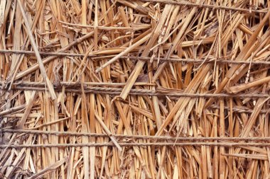 Closeup bale ile sıkıştırılmış saman arka plan.
