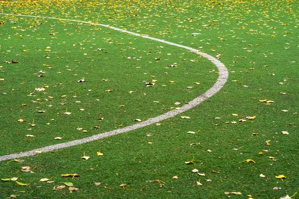 Herbst Herbst Fußballplatz Mit Grasgrünem Fußball Natursport — Stockfoto