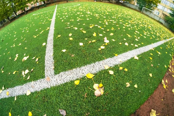 Automne Terrain Football Automne Avec Gazon Football Vert Nature — Photo