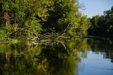 Yazın sakin bir nehirde güneşli bir gün manzarası