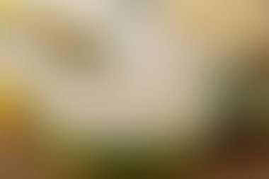 Gradyan arkaplan, sonbahar, yeşillik, turuncu, sarı, kahverengi, pürüzsüz yumuşak duvar kağıdı, kopyalama alanı ile soyut