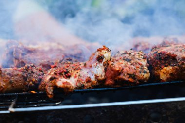 Yaz doğa ızgarası bbq eti, ateş pınarı.