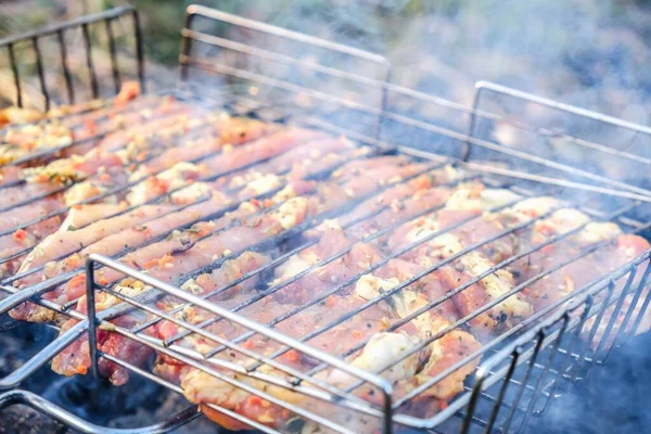 Καλοκαιρινή Φύση Σχάρα Bbq Κρέας Κόμμα Φωτιά — Φωτογραφία Αρχείου