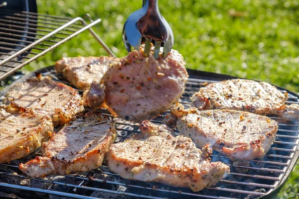 Verano Naturaleza Parrilla Barbacoa Carne Cocina Primavera — Foto de Stock