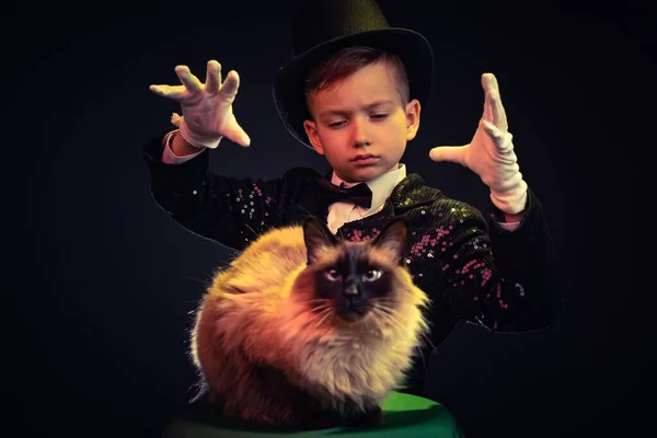 Gato Mago Niño Ilusionista Con Sombrero Espectáculo Magia Disfraz Misterio —  Fotos de Stock
