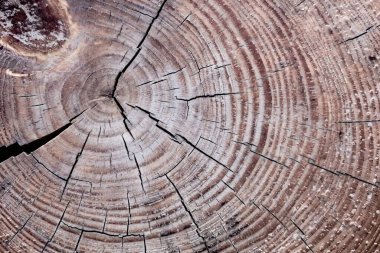 Eski ahşap ahşap ahşap döşeme dokusu. yüzey tahtası