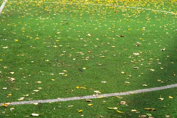 Outono Campo Futebol Outono Com Grama Verde Gramado Artificial Futebol — Fotografia de Stock