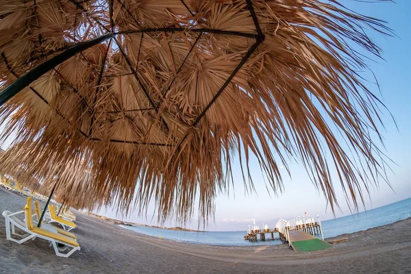 Plaj Okyanusu Yazı Şemsiyeli Palmiye Ağacı Ada Denizi — Stok fotoğraf