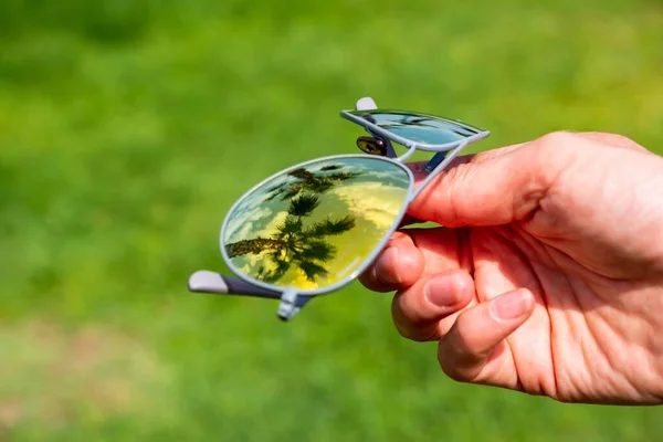 Zonnebril Palm Reflectie Glazen Hemel Dag Blauw — Stockfoto