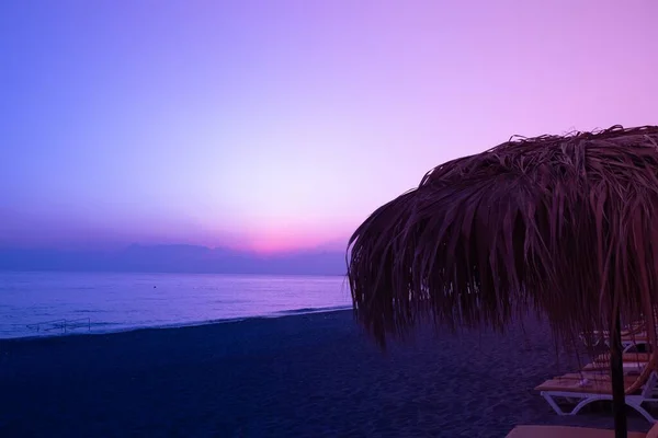 Tropik Palmiye Ağacı Yaz Günbatımı Güzel Güneş — Stok fotoğraf