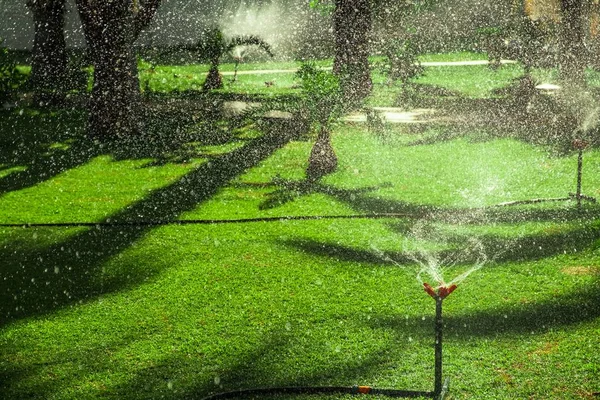 Wasserschlauch Grünes Gras Nass Frisches Umfeld — Stockfoto