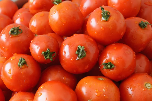 Composición con tomate fresco — Foto de Stock