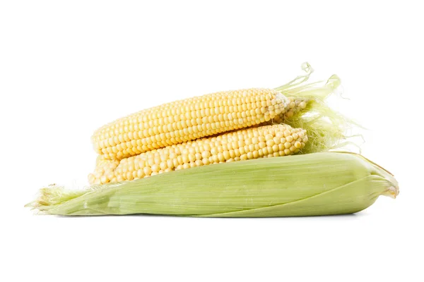 Several ears of corn on a white background — Stock Photo, Image