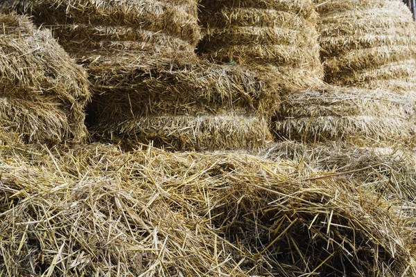 Hay and straw procured for cattle — Stock Photo, Image