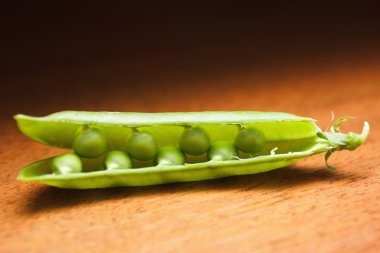 yeşil bezelye portre