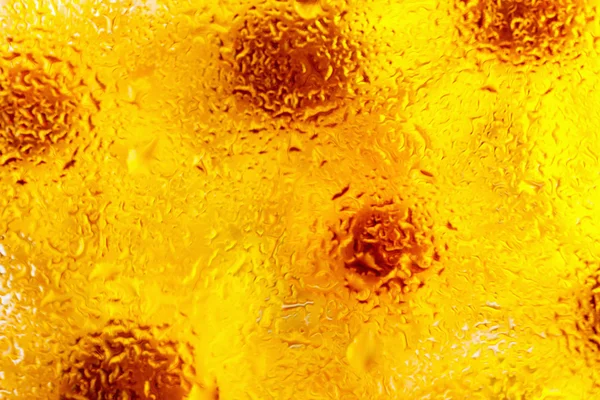 Flor de margarita amarilla, fondo de las flores, gotas de agua —  Fotos de Stock