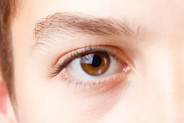 Öga med vackra långa ögonfransar, brun, makro. — Stockfoto