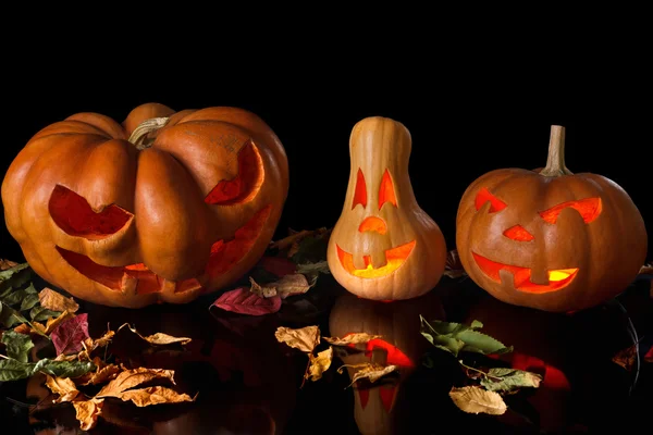 Spooky pumpkin halloween — Stock Photo, Image