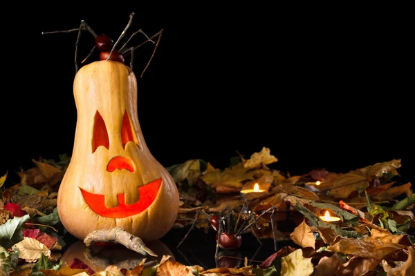 Usmívající se dýně halloween se pavouk — Stock fotografie