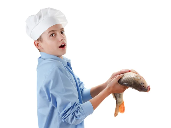 Chef holding a fish carp on white background — Stock Photo, Image