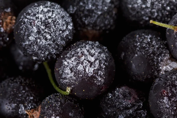 Black currant with ice — Stock Photo, Image