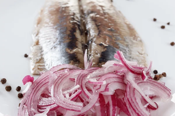 Arenque salado en el plato con cebolla roja —  Fotos de Stock